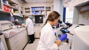 two Bozeman Clinic lab scientists examining samples in Bozeman, MT