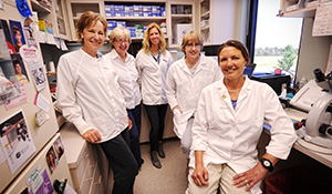 Bozeman Clinic lab scientists and technicians